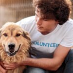 Why Your Healthy Pet Still Needs to See the Vet: The Complete Guide to Annual Wellness Exams in Sharjah