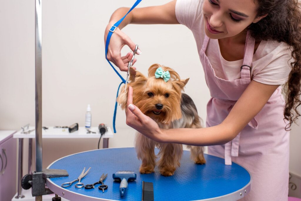 Grooming at diamond claw veterinary clinic