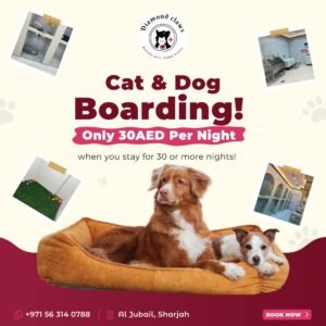 Pet Boarding