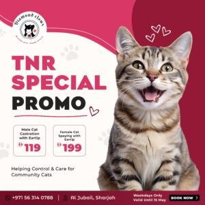 TNR Special Promo