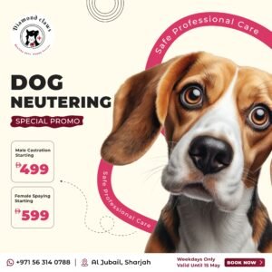 Dog neutering