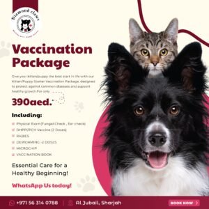 Vaccination Offer
