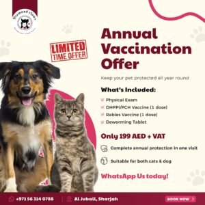 Vaccination Offer