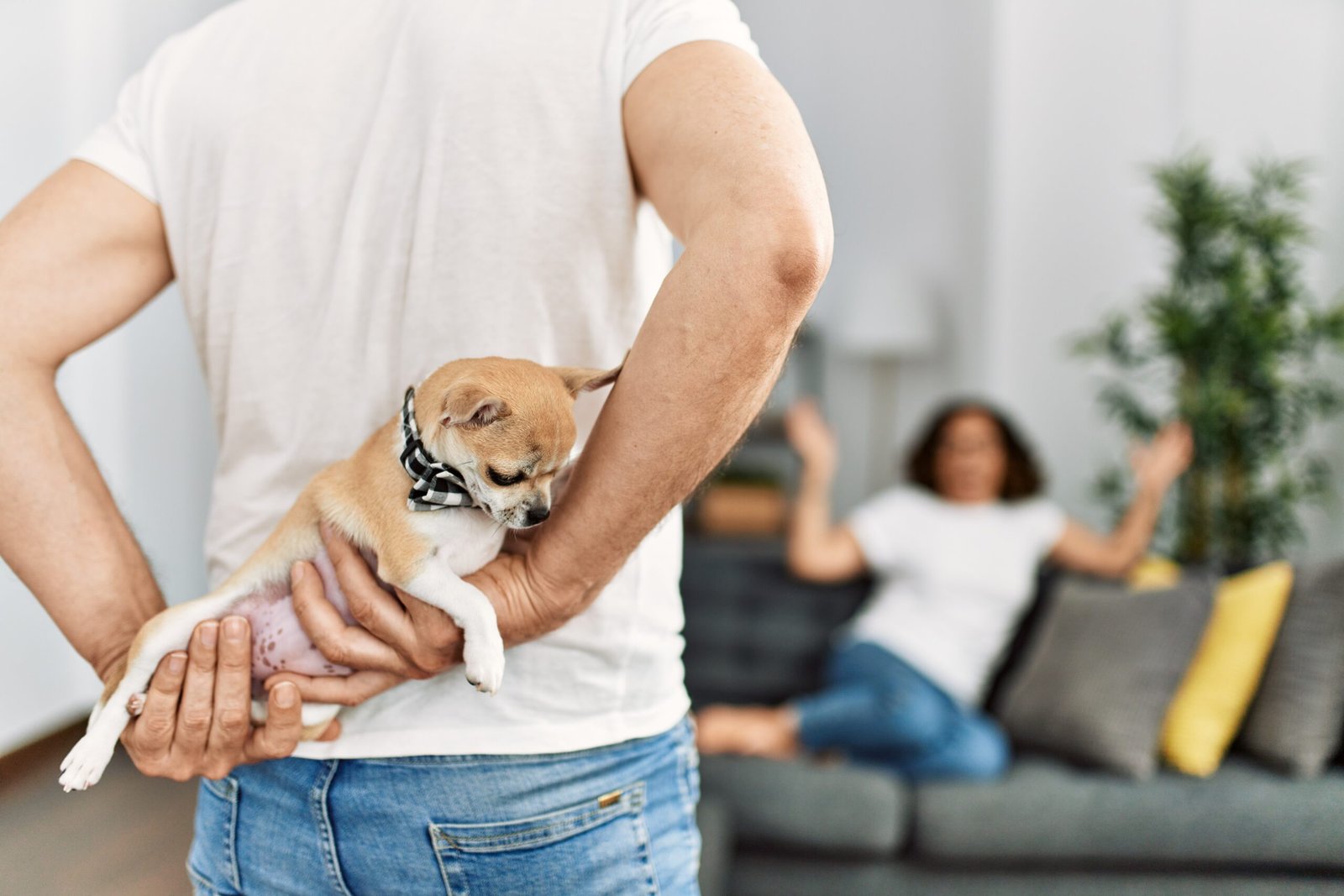Man surprising his wife with adorable dog at home.