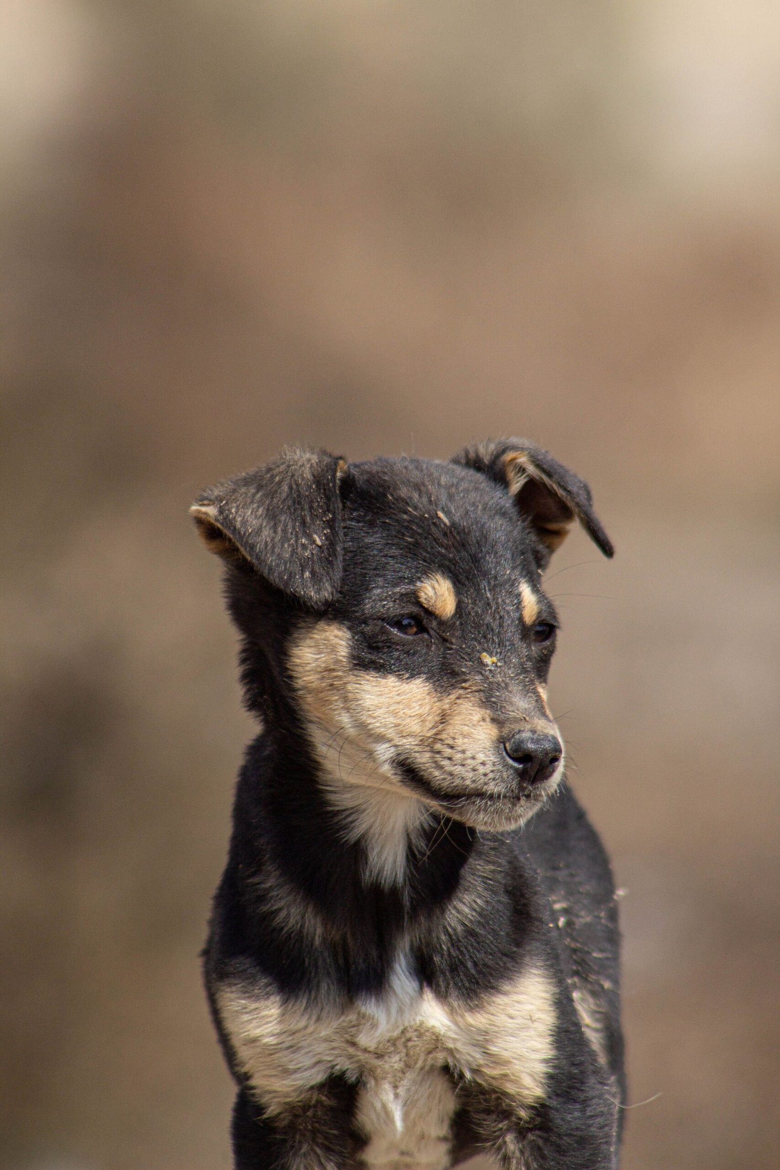 pexels-chirag-captures-1479983956-27075796