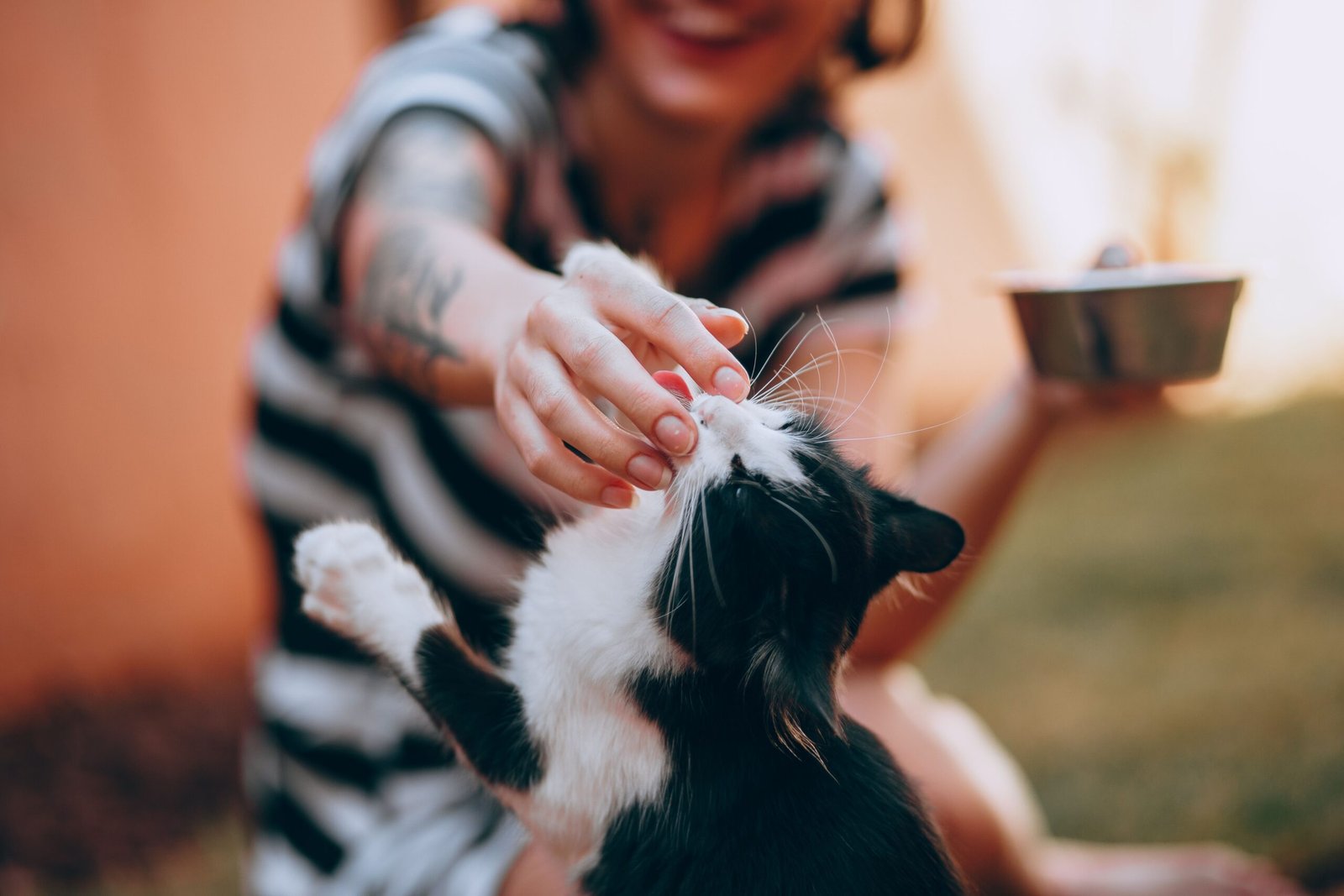 pexels-helenalopes-7980591