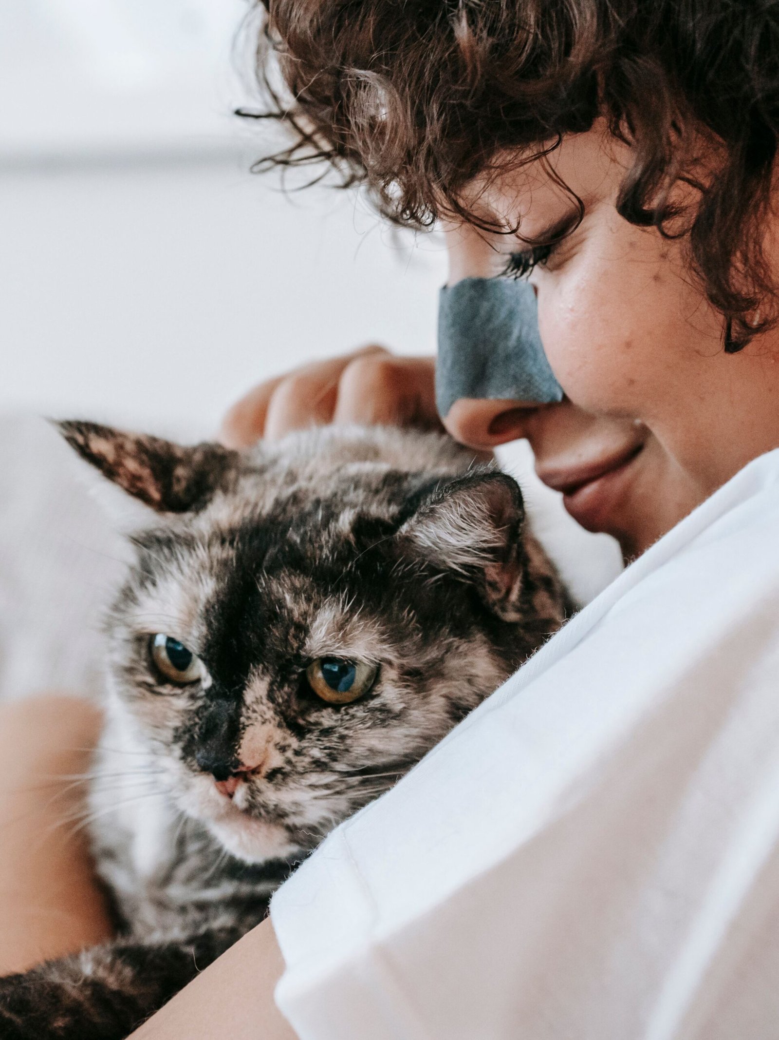 pexels-sam-lion-6001803
