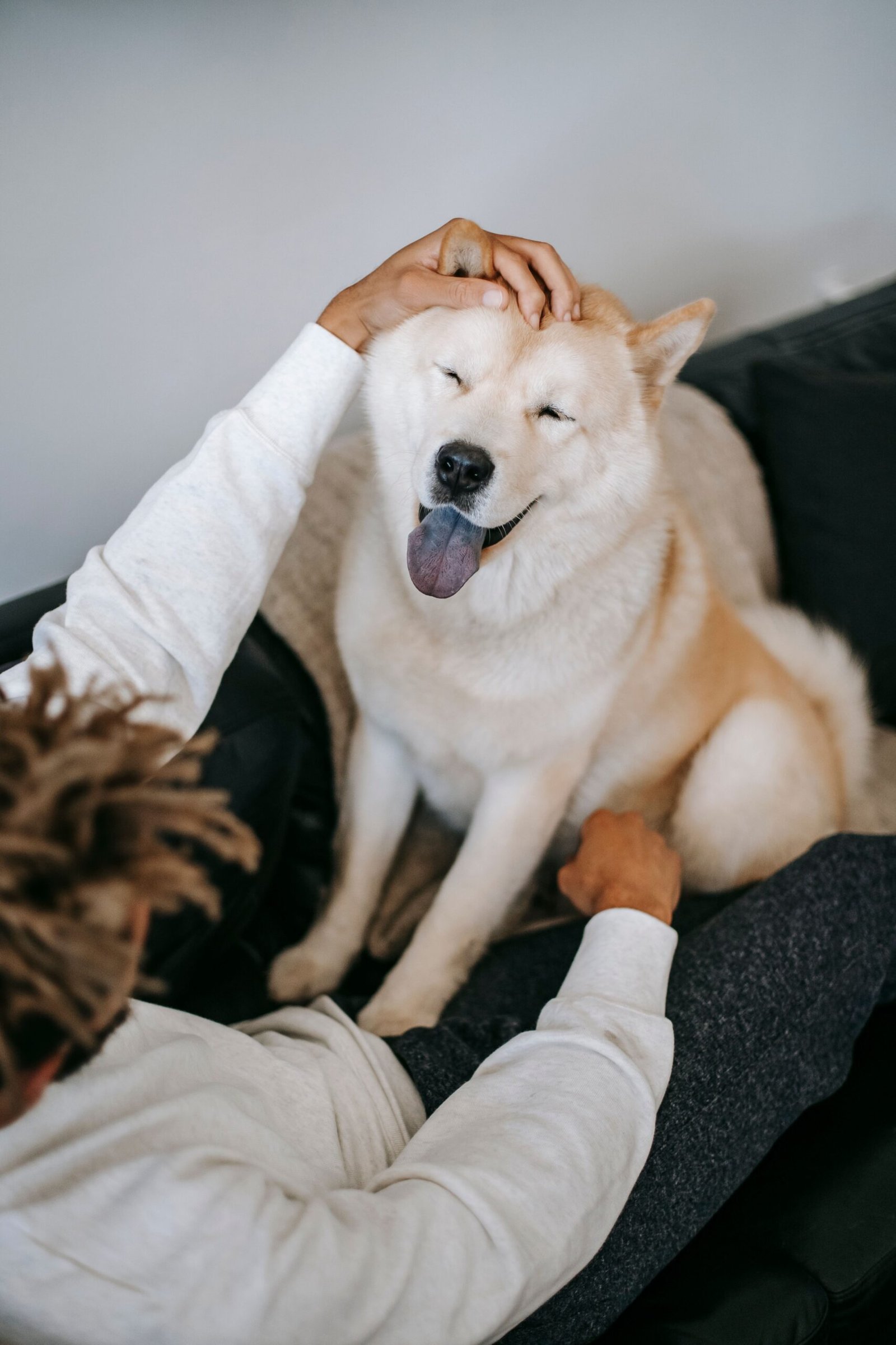 pexels-zen-chung-5749810